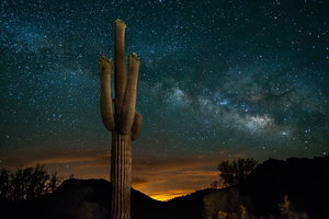 Desert Night Sky