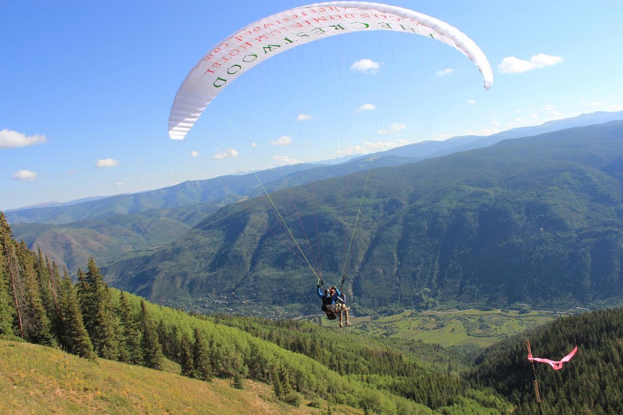The Crestwood Snowmass Village - thumb 19