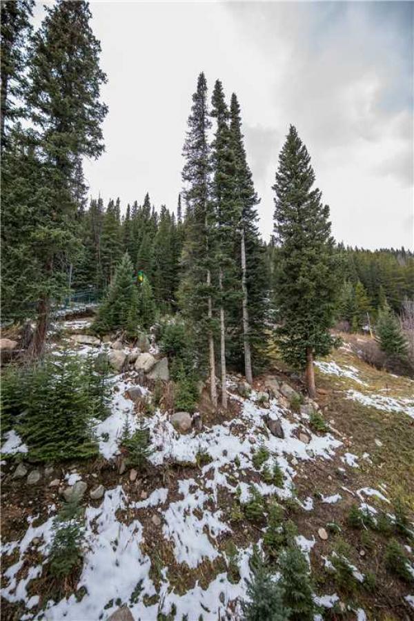 Iron Horse Building D Unit 4104 - thumb 25