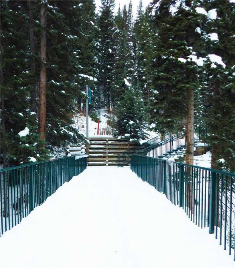 Iron Horse Building D Unit 4104 - thumb 9