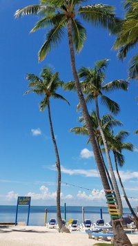 American Express Fl Accommodation Arizona