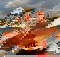 4-Hour Shared Big Game Deep Sea Fishing Charter in Fort Lauderdale - Accommodation Arizona