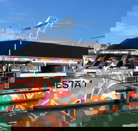 Miami Celebrity Homes Cruise - Accommodation Arizona