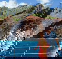 Leila Na Pali Sunset Dinner Sail - Accommodation Arizona