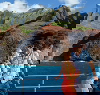 Na Pali Sunset  Sightsee Boat Tour - Accommodation Arizona