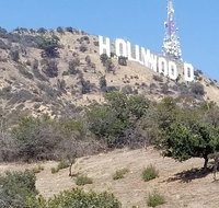 Half Day Hollywood and Beverly Hills Tour - Accommodation Arizona