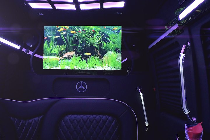 14 Passenger Luxury Sprinter Party Bus Ft Lauderdale 3 Hour - thumb 1