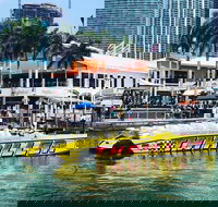 Speedboat Sightseeing Tour of Miami - Accommodation Arizona