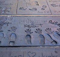Hollywood Celebrity Homes Tour - Accommodation Arizona