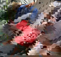 Fort Lauderdale Sailing Charter - Accommodation Arizona