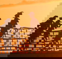 LUCKY LADY - Deluxe Na Pali Sunset Tour - Accommodation Arizona