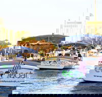 Private 21ft Electric Boat Rental or Tour in Fort Lauderdale with Captain - Accommodation Arizona