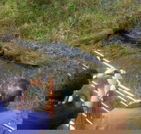 Everglades Tour in Miami - Accommodation Arizona