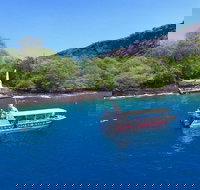 Captain Cook /Kealakekua Bay - Accommodation Arizona