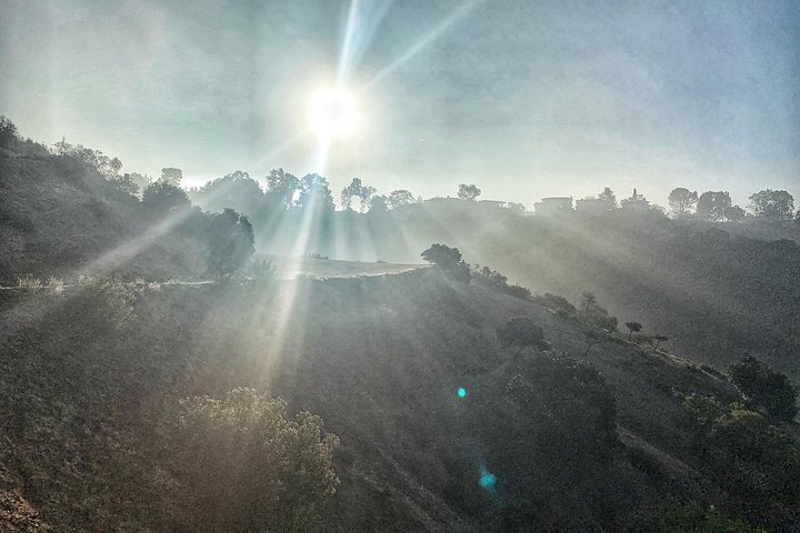 Hollywood Sign: Walk To The Top - thumb 1