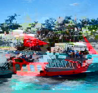 Pirates Adventures Sightseeing Tour from Miami - Accommodation Arizona