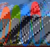 Island City ECO Paddle  Lesson Explores Nature Preserve Tropical Wild Life - Accommodation Arizona