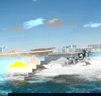 007 Millionaire Jet Ski Adventure Fort Lauderdale Guided Tour - Accommodation Arizona