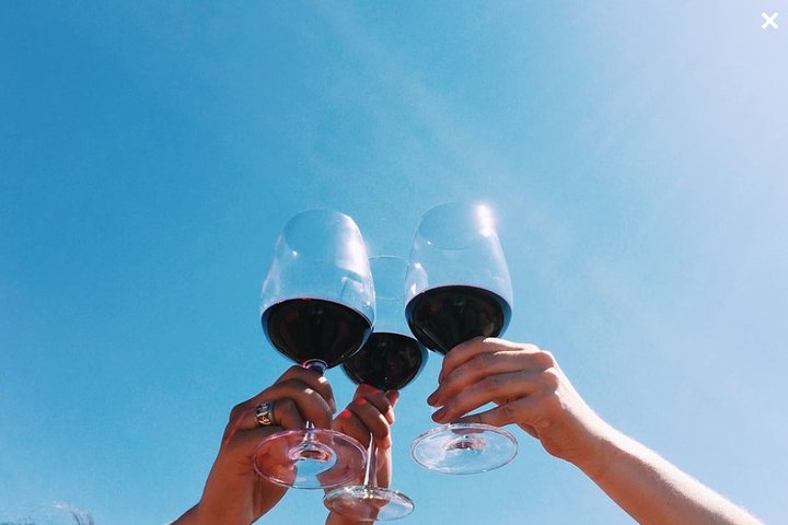 Baja Mexico Winery And Vineyard Tour - thumb 1