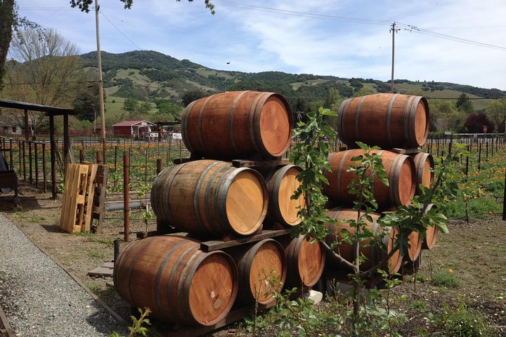 6-Hour Private Napa Wine Tour In A Lincoln MKT Crossover (up To 4 Passengers) - thumb 4