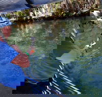 Manatee Viewing Cruise - Accommodation Arizona