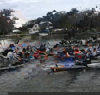 Clear Kayak Tour of Crystal River - Accommodation Arizona