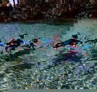 Small group Manatee snorkeling tour with in water guide - Accommodation Arizona
