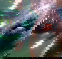 Private Manatee Tour - Accommodation Arizona