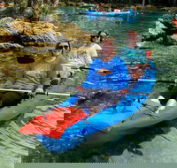 Full Day Tandem Kayak Rental For Two People In Crystal River Florida - Accommodation Arizona