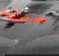 4 Hour Single Kayak Rental In Crystal River Florida - Accommodation Arizona