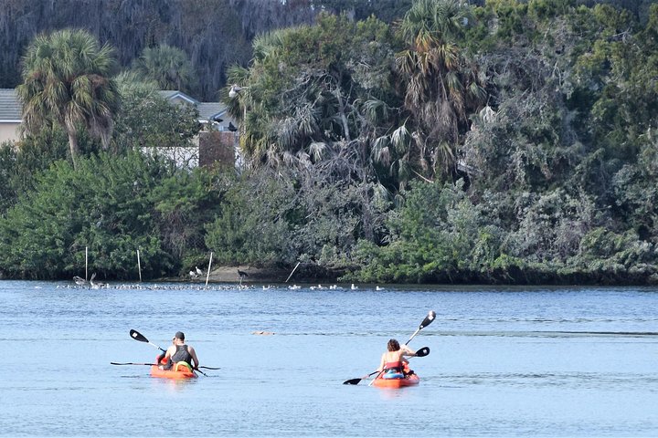 4 Hour Tandem Kayak Rental For Two People In Crystal River, Florida - thumb 3