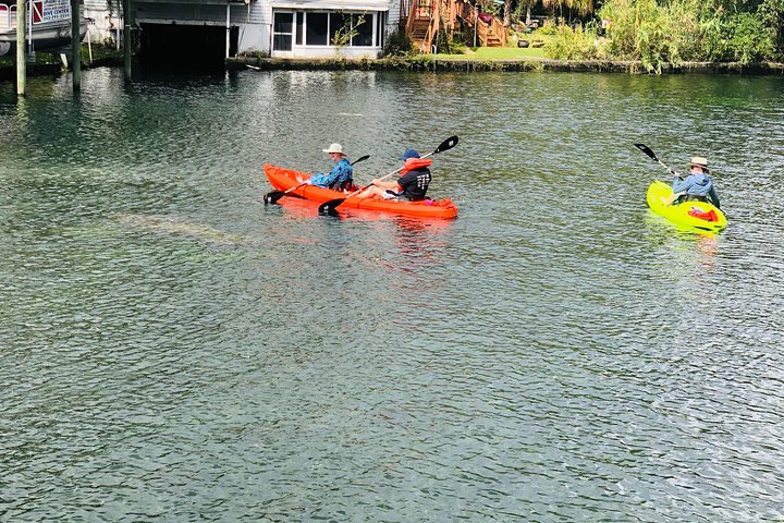 4 Hour Tandem Kayak Rental For Two People In Crystal River, Florida - thumb 5
