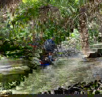 Clear Kayak Tours on Chassahowitzka River - Accommodation Arizona