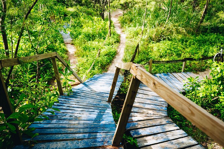 Guided Mountain Bike Trail Ride (Beginner Friendly) - thumb 5