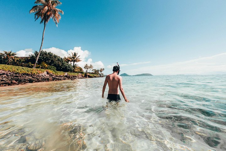 The Best Of Honolulu Walking Tour - thumb 4