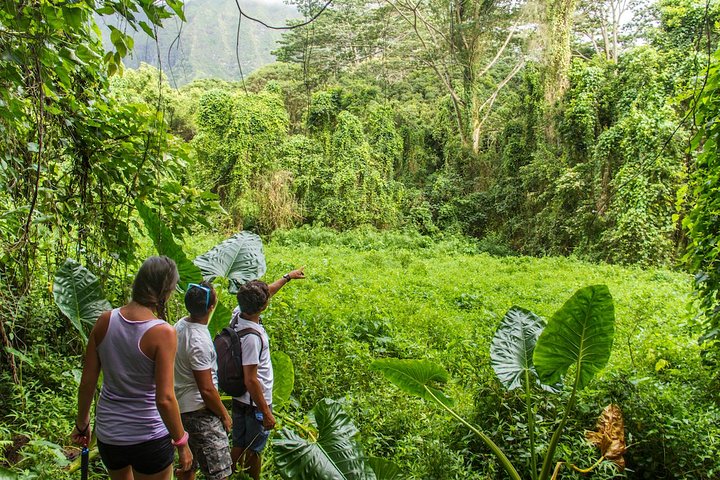 Oahu Friendly Hiking Experience - thumb 3