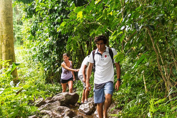 Oahu Friendly Hiking Experience - thumb 4