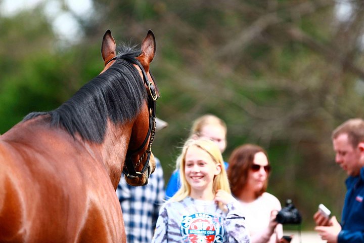 Half-Day Thoroughbred Horse Farm Tour In Kentucky - thumb 3