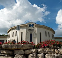 Branson Butterfly Palace Admission Ticket - Accommodation Arizona