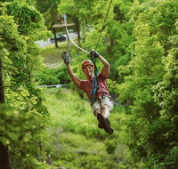 Zipline Canopy Tour in Branson - Accommodation Arizona