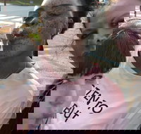 Scavenger Hunt Adventure in Pittsburgh by Crazy Dash - Accommodation Arizona