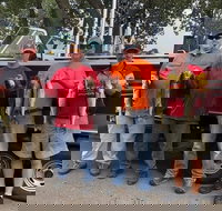 Lake Erie Walleye Fishing Charters - Accommodation Arizona