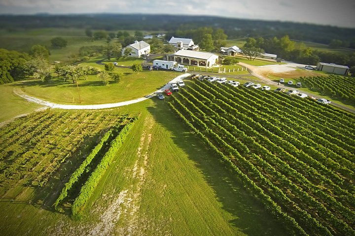 Hill Country Grape Escape Experience - thumb 5