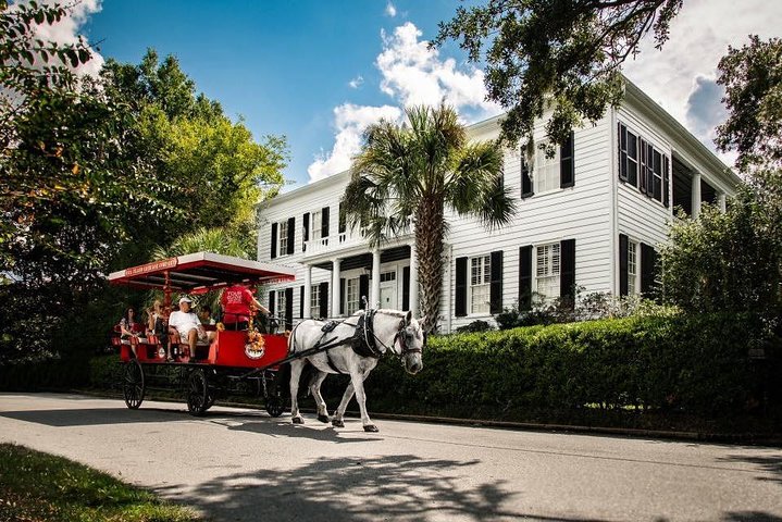 Beaufortâ€™s #1 Horse & Carriage History Tour - thumb 3