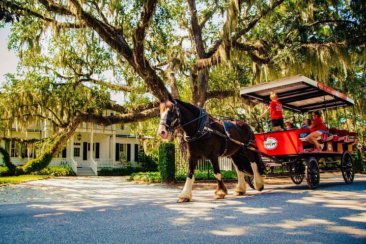 Beaufortâ€™s #1 Horse & Carriage History Tour - thumb 5