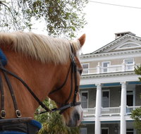 1 Historical Horse Drawn Carriage Tour - Accommodation Arizona