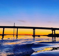 90 Minute Hilton Head Dolphin Tour - Accommodation Arizona