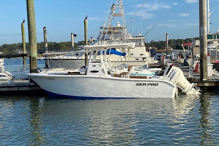 Private 4 Hour Hilton Head Island Fishing Charter - thumb 3