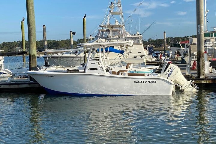 Private 6 Hour Fishing Charter In Hilton Head Island - thumb 1