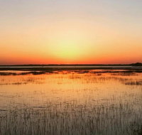 Private Hilton Head Sunset Dolphin Tour - Accommodation Arizona